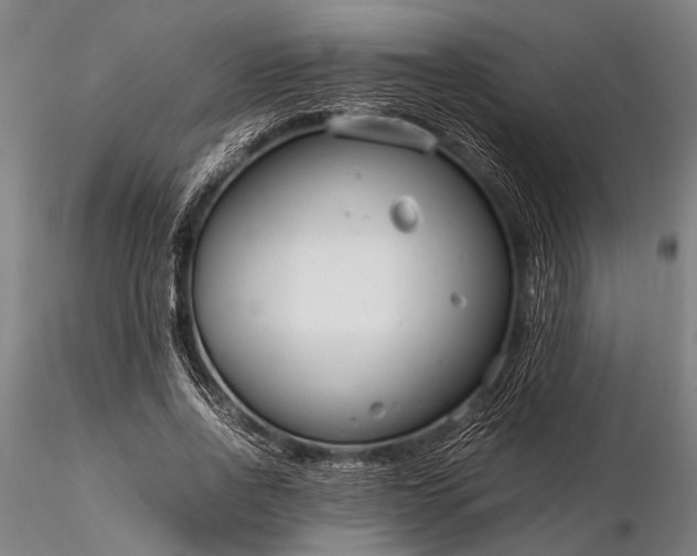 X0000116370734200912161437