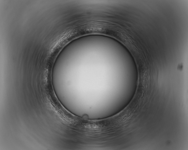 X0000116370735200912161437