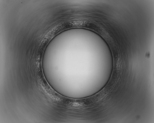 X0000116370737200912161437