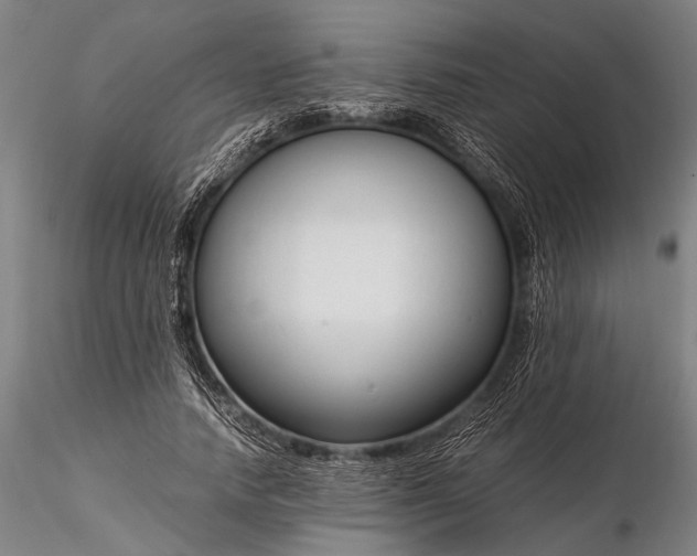 X0000116370738200912161437