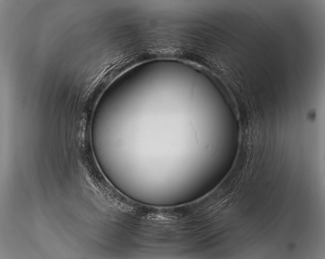 X0000116370739200912161437