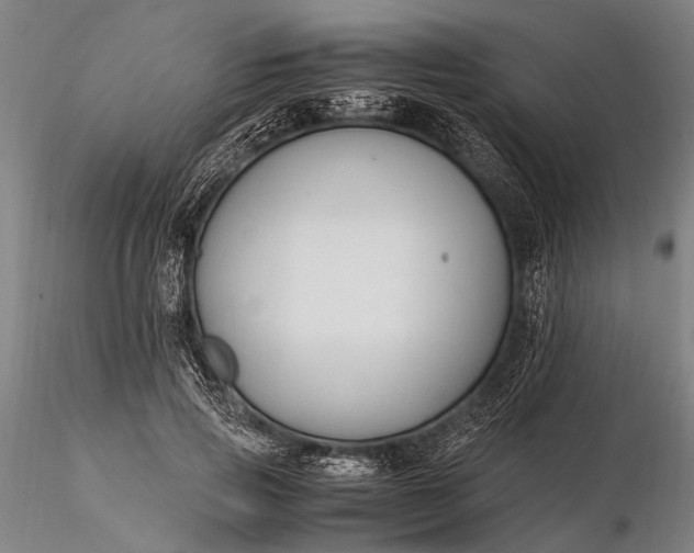 X0000116370741200912161438