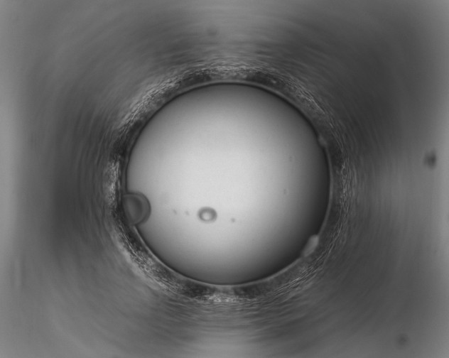 X0000116370742200912161438