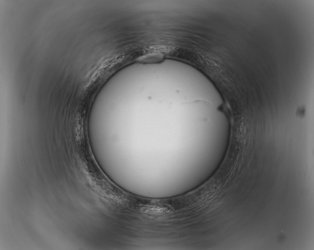 X0000116370743200912161438