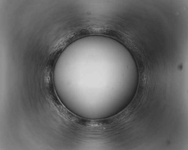 X0000116370746200912161438