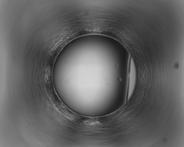 X0000116370747200912161438