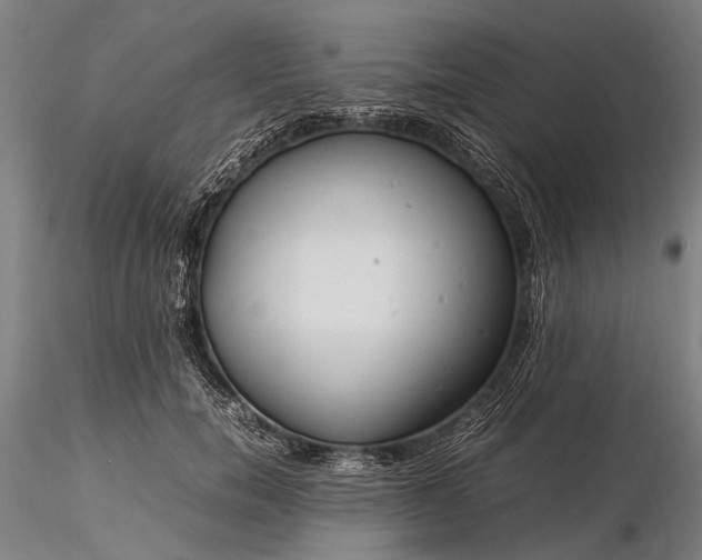 X0000116370750200912161438