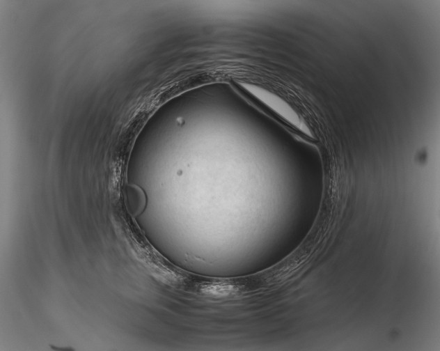 X0000116370759200912161438