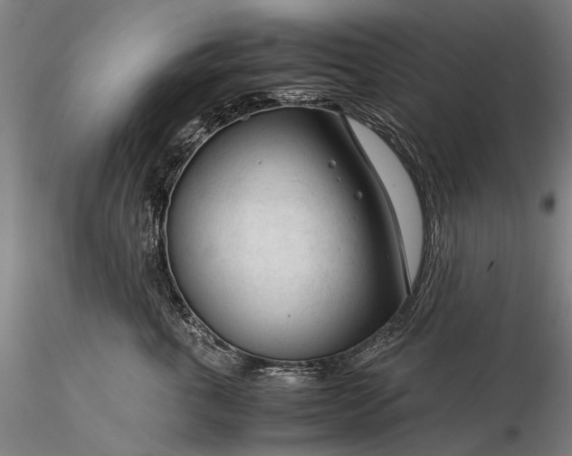 X0000116370763200912161438