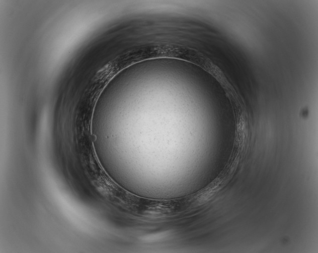 X0000116370765200912161438