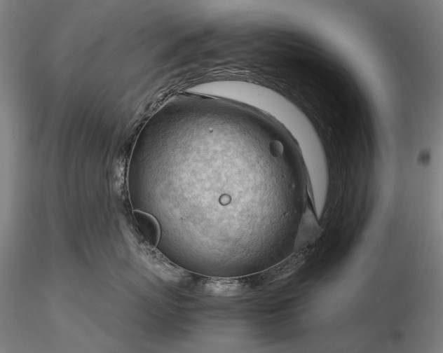 X0000116370767200912161438