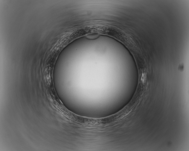 X0000116370771200912161437