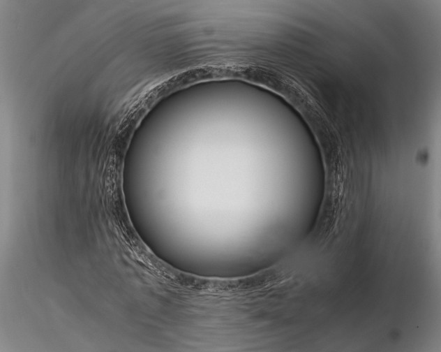 X0000116370773200912161437