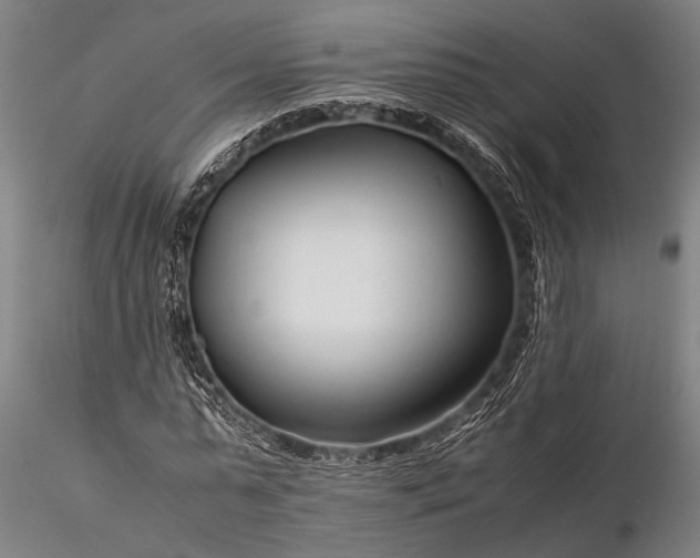 X0000116370775200912161437