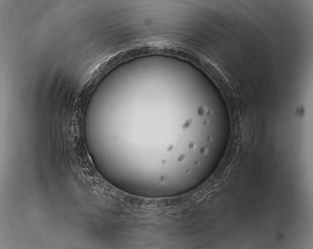 X0000116370776200912161437