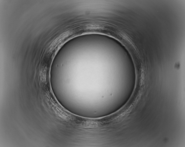 X0000116370777200912161437