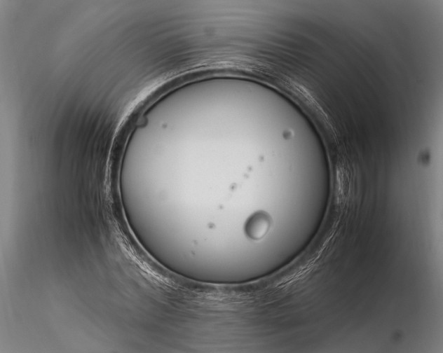 X0000116370780200912161437