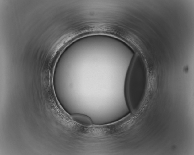 X0000116370781200912161437