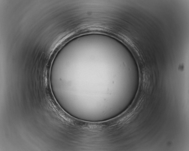 X0000116370782200912161437