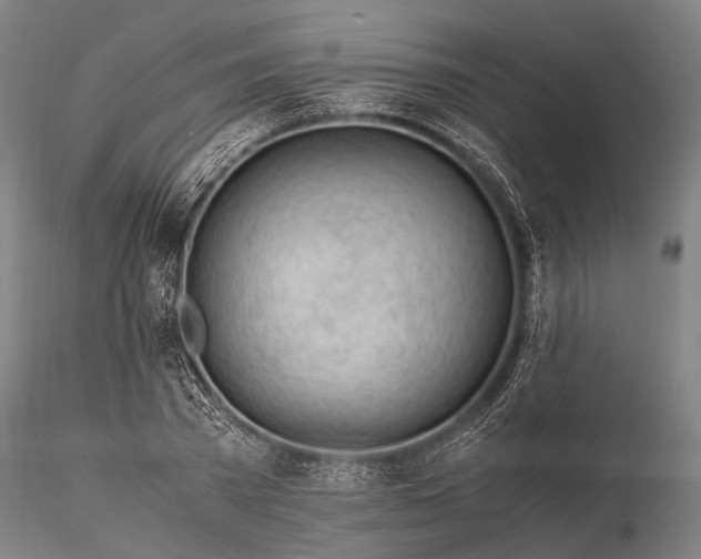 X0000116370785200912161437