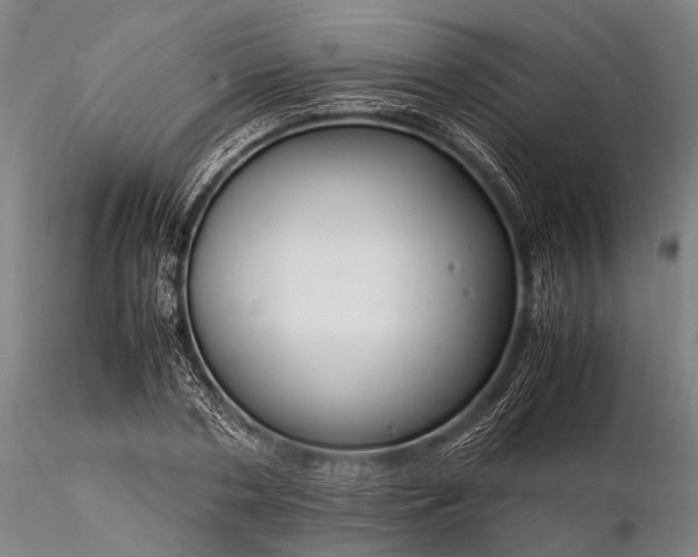 X0000116370786200912161437