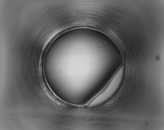 X0000116370788200912161437