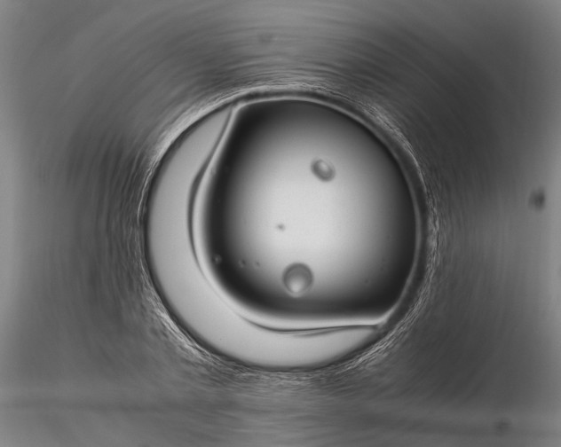 X0000116370789200912161437