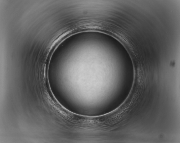 X0000116370790200912161437