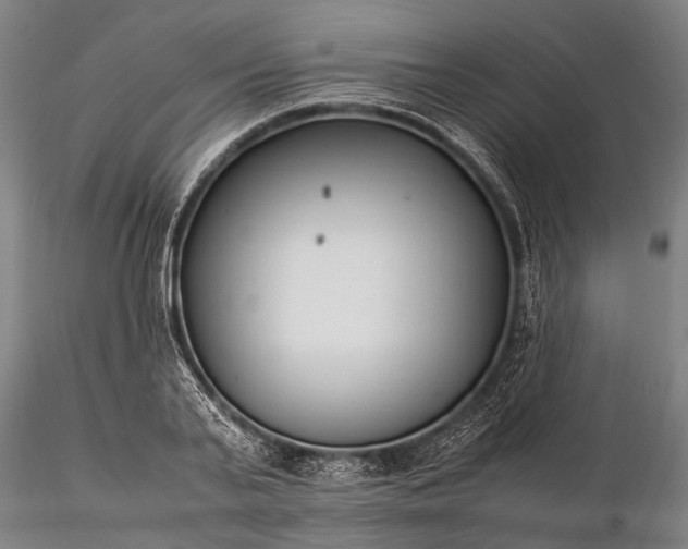 X0000116370791200912161437