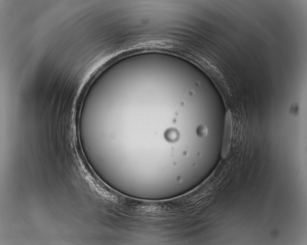 X0000116370792200912161437