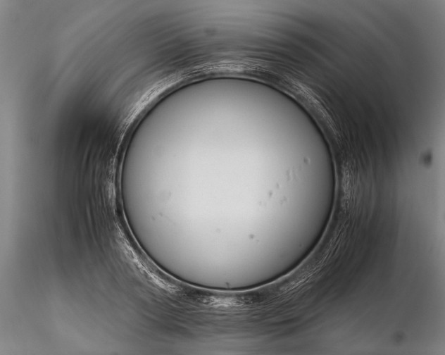 X0000116370794200912161437