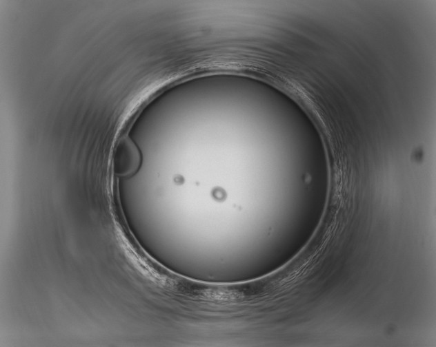 X0000116370795200912161437