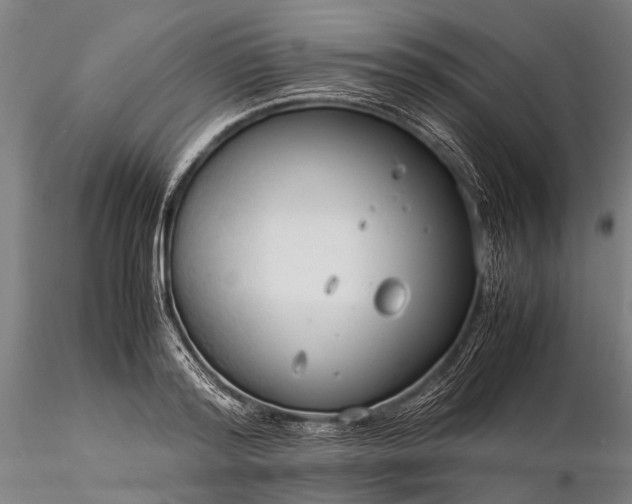 X0000116370796200912161437