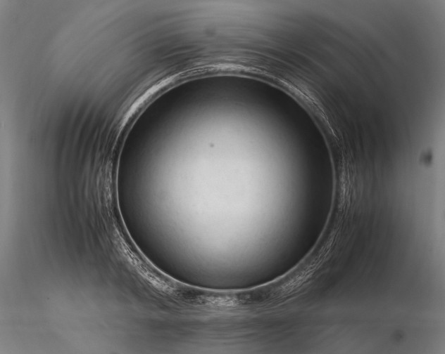 X0000116370798200912161437