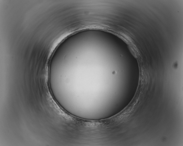 X0000116370804200912161437