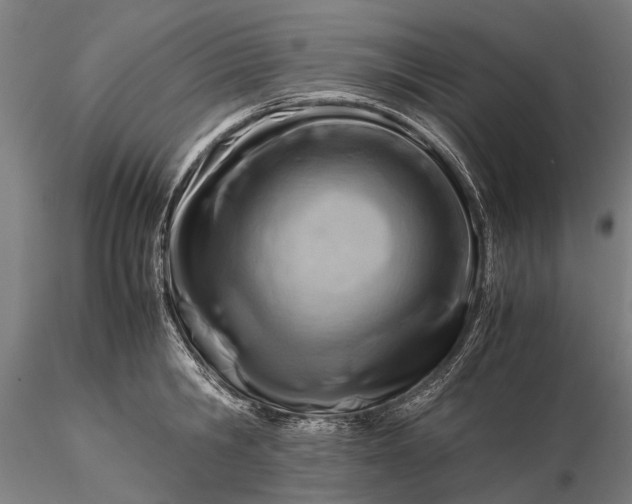 X0000116370806200912161437