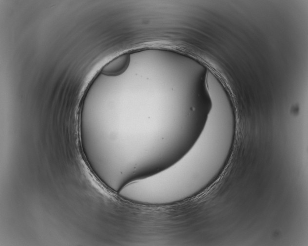 X0000116370808200912161437