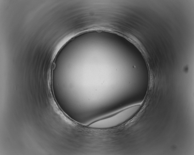 X0000116370812200912161436