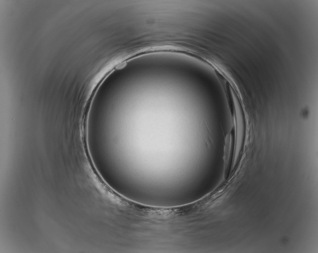 X0000116370813200912161436