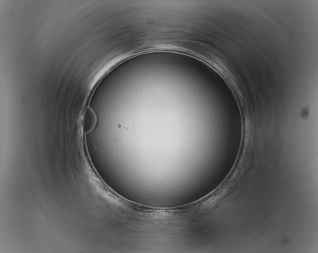 X0000116370814200912161436