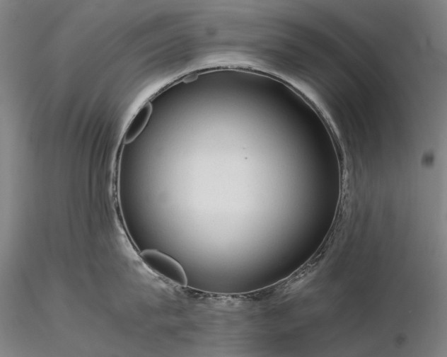 X0000116370815200912161436