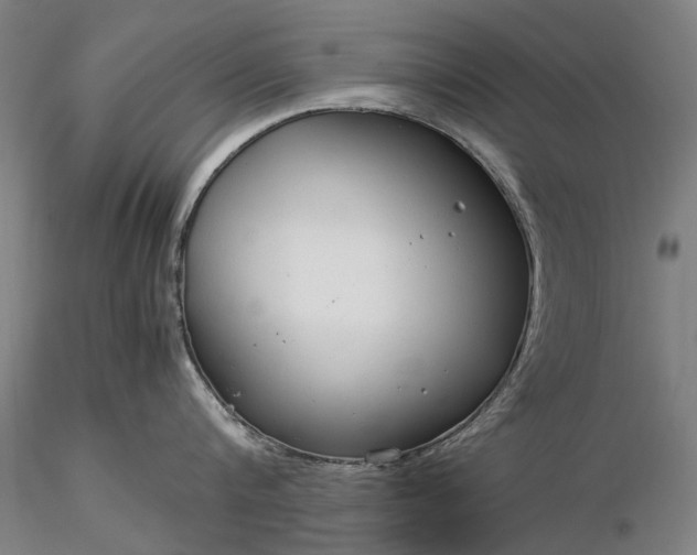 X0000116370816200912161436