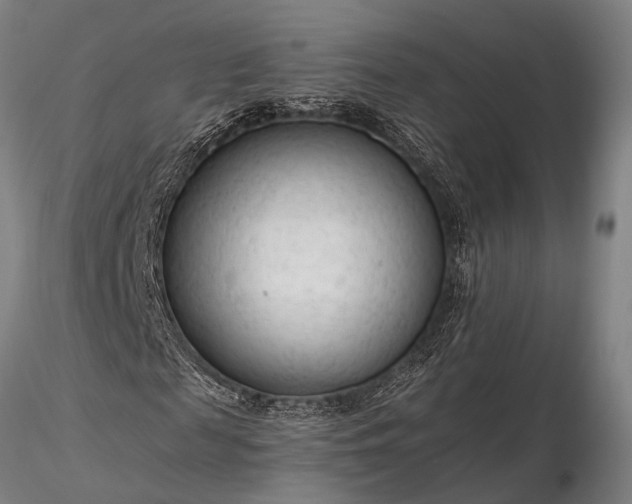 X0000116370817200912161436