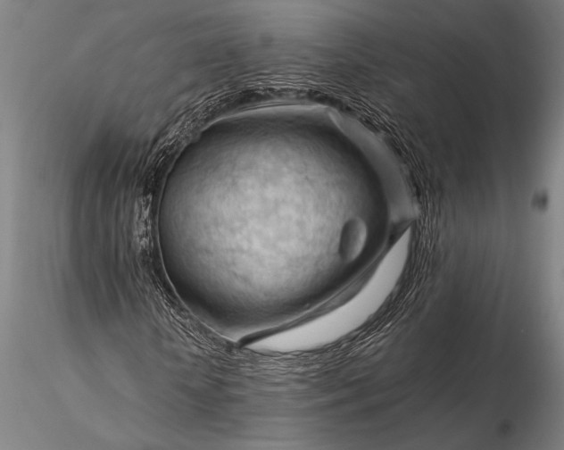 X0000116370818200912161436