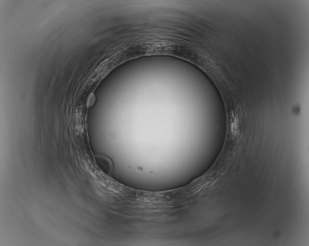 X0000116370819200912161436