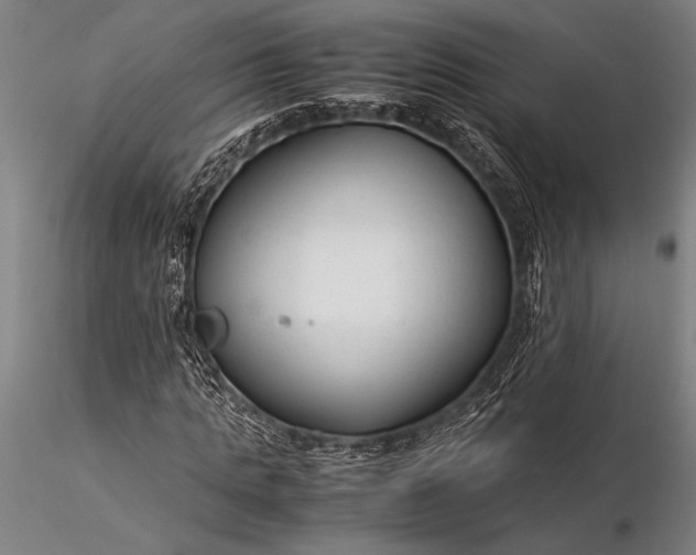 X0000116370821200912161436