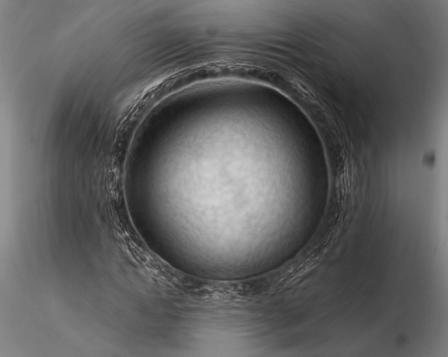 X0000116370822200912161436