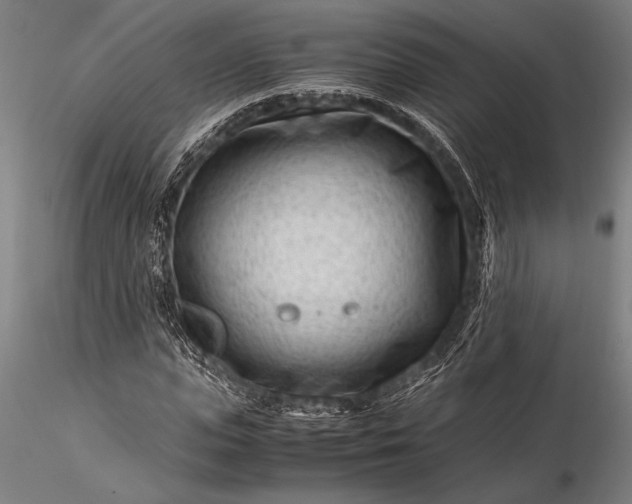 X0000116370823200912161436