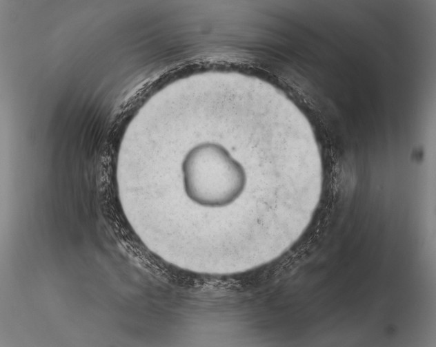 X0000116370824200912161436