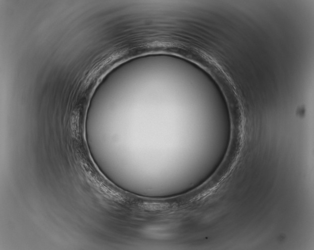 X0000116370825200912161436